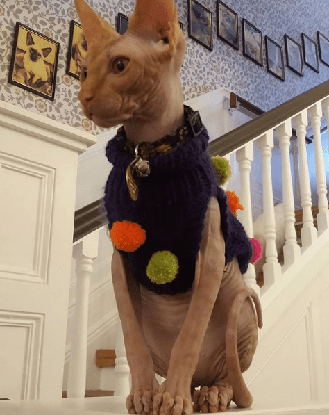 Screen Shot 2018-06-14 at 10.54.16